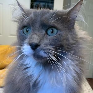 Meet your Posher, Arkan